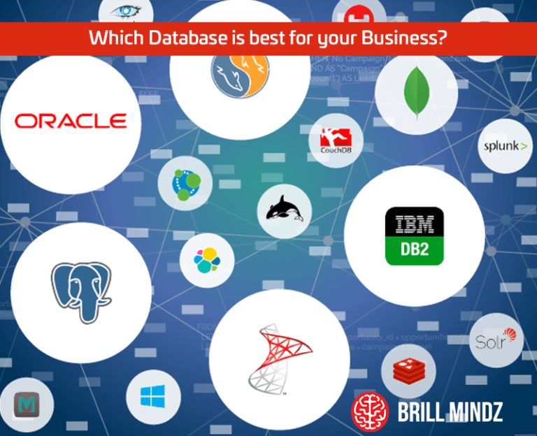 Which Database is Best for your Business?